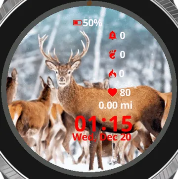 A Nobel Deer Garmin watch face preview
