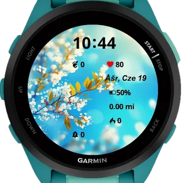 Abstract Nature Background Garmin watch face preview