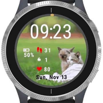 Adorable Kitten Garmin watch face preview
