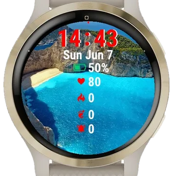 Aerial View Beach Cliffs Ocean Garmin watch face preview