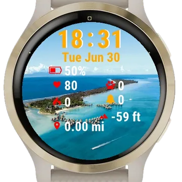 Aerial View Beach Resort Garmin watch face preview