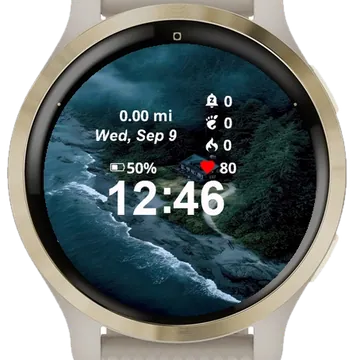 Aerial View House Shore Lake Garmin watch face preview