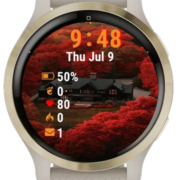 Aerial View House Garmin watch face preview