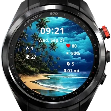Alone on the beach Garmin watch face preview