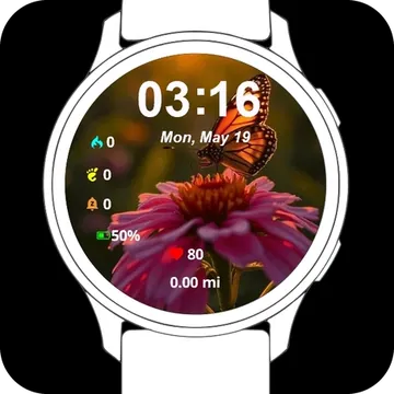 Amazing Butterfly Garmin watch face preview