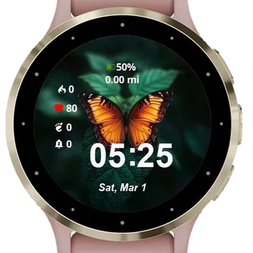 Amber Wings Garmin watch face preview