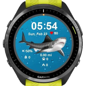 Angry Sharky Garmin watch face preview