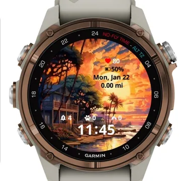 Architecture Painting Garmin watch face preview