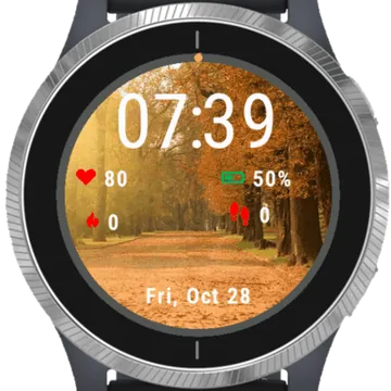 Autumn Day Garmin watch face preview