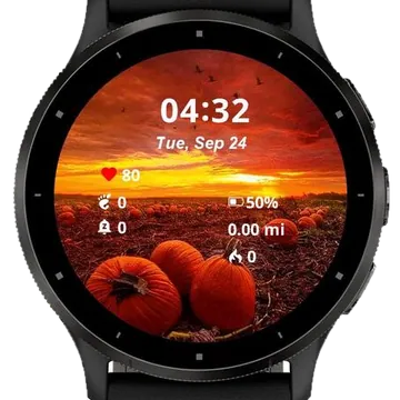 Autumn Falls Garmin watch face preview