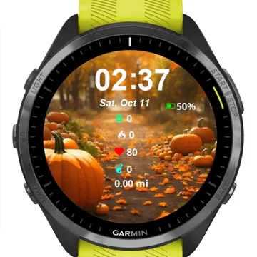 Autumn Halloween Garmin watch face preview