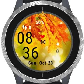 Autumn Has Come Garmin watch face preview