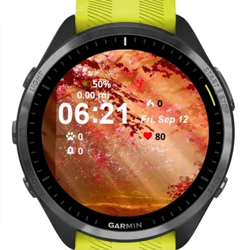 Autumn Landscape Forest Garmin watch face preview