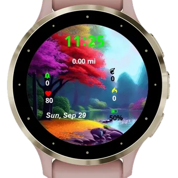 Autumn landscape View Garmin watch face preview