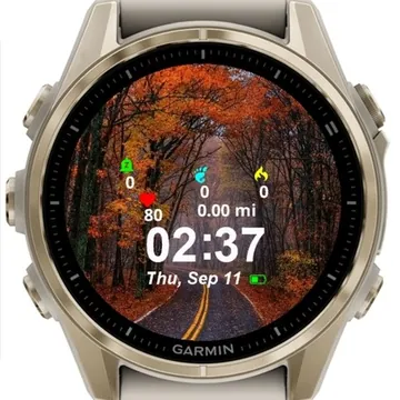 Autumn Leaves Garmin watch face preview