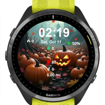 Autumn Pumpkins Garmin watch face preview