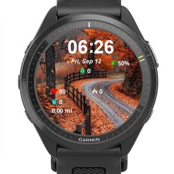 Autumn Road Garmin watch face preview