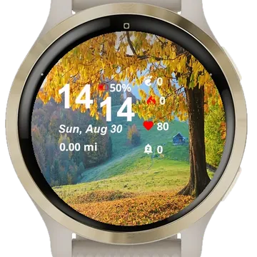 Autumn Scene Sun Shining Garmin watch face preview