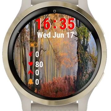 Autumn Trees Woods Garmin watch face preview