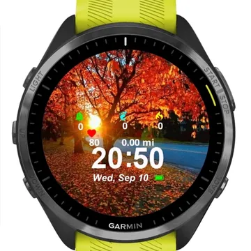 Autumn View Garmin watch face preview