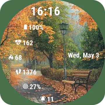 AutumnBanch Garmin watch face preview