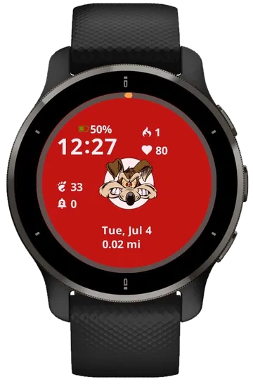 Baby Tunes Garmin watch face preview