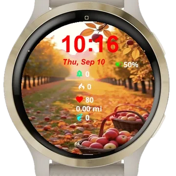 Basket Apples Sitting Ground Garmin watch face preview