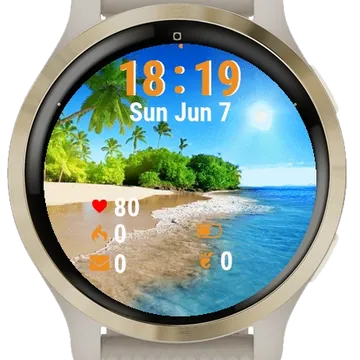 Beach Palm Trees Garmin watch face preview
