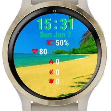 Beach Palm Trees Garmin watch face preview