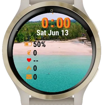 Beach Palm Trees Garmin watch face preview