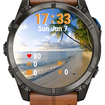Beach Palm View Garmin watch face preview