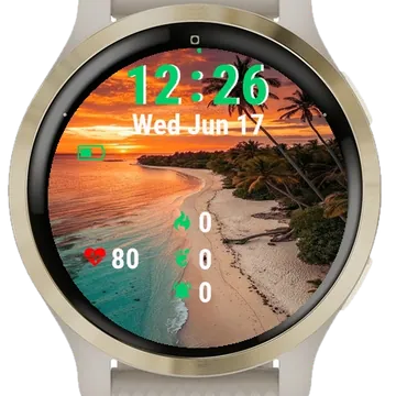 Beach Sunset Palm Trees Garmin watch face preview