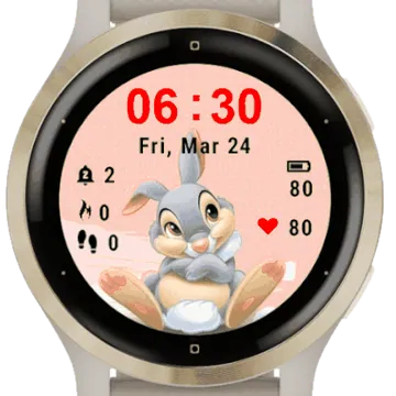 Beautiful Bunny Garmin watch face preview