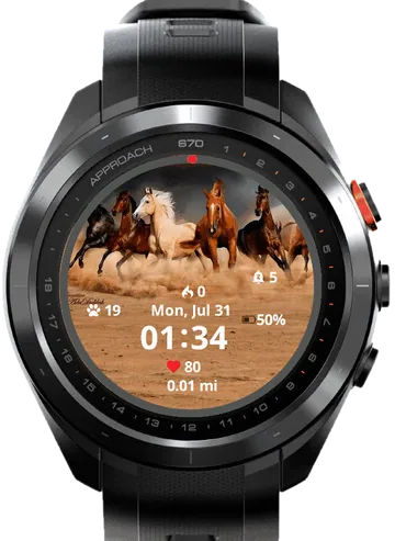 Beautiful Horses Garmin watch face preview