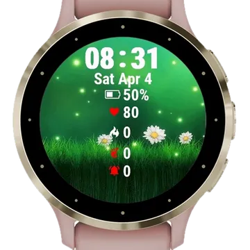 Beautiful Peisage Landscape Garmin watch face preview