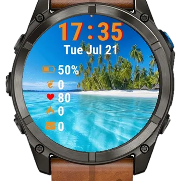 Beautiful Tropical Beach Palm Garmin watch face preview