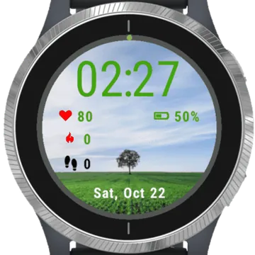 Beautiful View Tree Garmin watch face preview