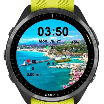 Beautiful Views Garmin watch face preview
