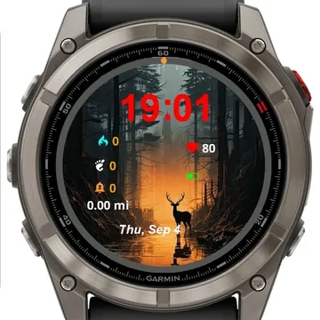 Beautiful World Garmin watch face preview