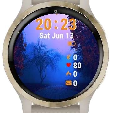 Bench Middle Foggy Park Garmin watch face preview