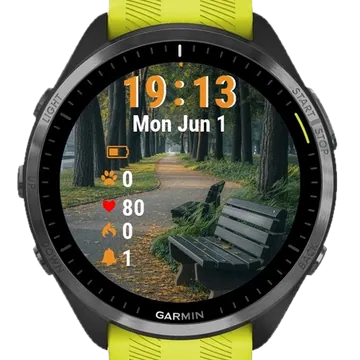 Bench Middle Park Garmin watch face preview