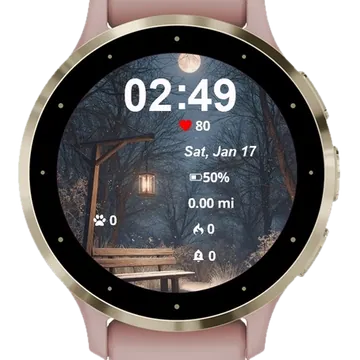 Bench Middle Snowy Forest Garmin watch face preview