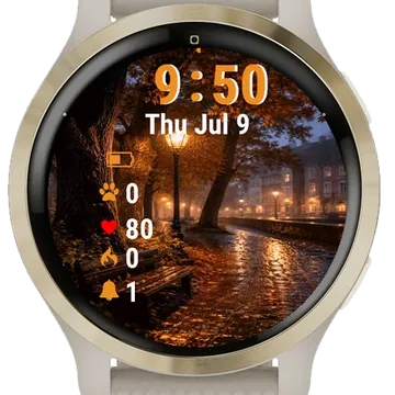 Bench Sitting Side Road Garmin watch face preview