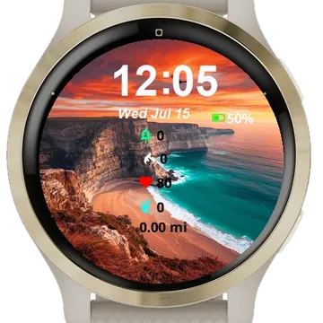 Bird Flying Over Beach Next Garmin watch face preview