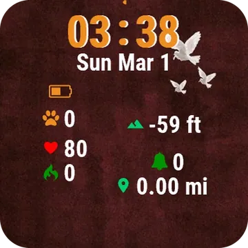 Bird Flying Over Red Garmin watch face preview