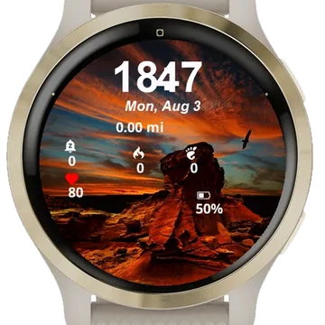 Bird Flying Over Some Rocks Garmin watch face preview
