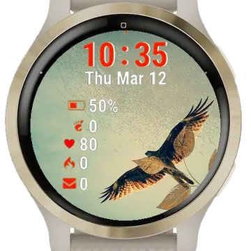 Bird Flying Sky Garmin watch face preview
