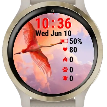 Bird Flying Through Cloudy Sky Garmin watch face preview