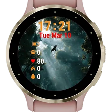 Bird Flying Garmin watch face preview