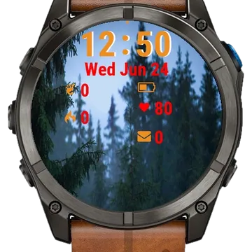 Bird Sitting Top Tree Rain Garmin watch face preview
